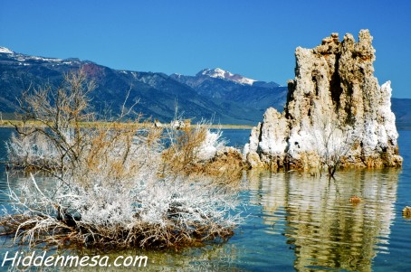 Mono Lake along the eastern Sierras is an interesting place to spend a few hours making unusual images. The best time for us has always been in the winter because of the low angle of light. Image by Donald Fink