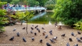 St. James's Park