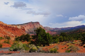 Red rocks in Capitol Reef