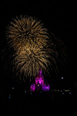 Fireworks over the Castle