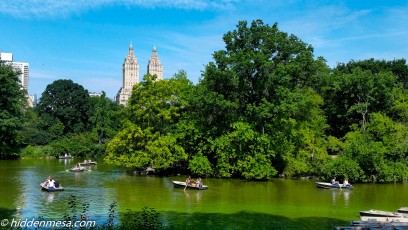 Rowboats in Central Park.