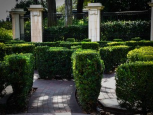 Hedge Maze