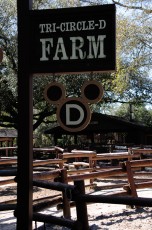 Tri-Circle D Farm