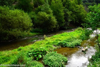 River View of the River Eltz