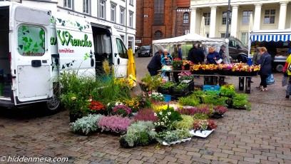 Flowers for Sale