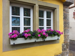 Window box