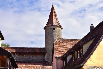 Tower and Medieval Wall