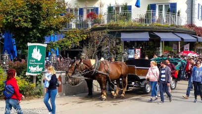 Horse Carriage