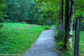 Walking around Lake Alpsee.