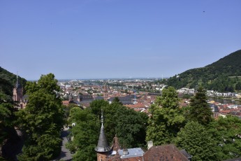 View of Heidelberg