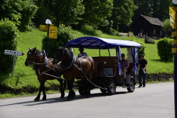 Horse drawn wagon