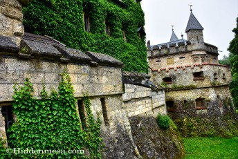 Ivy Covered Walls