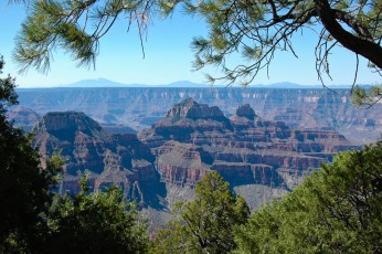 North rim of the grand canyon
