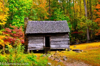 Log Cabin in Fall