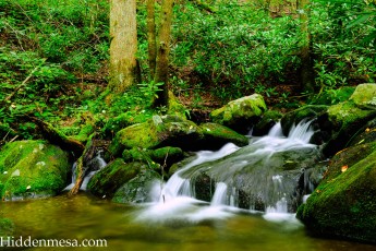 Water Fall Great, Smoky Mountains National Park