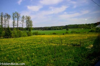 Fields outside of Helsinki