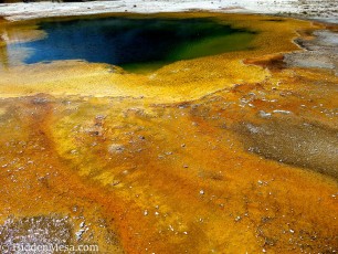 140-BLF_IMG_20180904_132120864-Edit