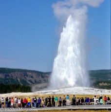 Old Faithful
