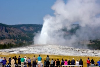 Old Faithful