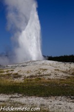 Old Faithful