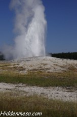 Old Faithful