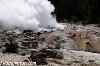 Steamboat Geyser
