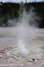 Vixen Geyser