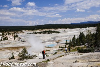 Norris Geyser Basin