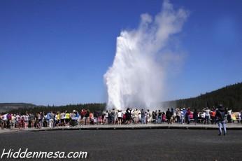 Old Faithful