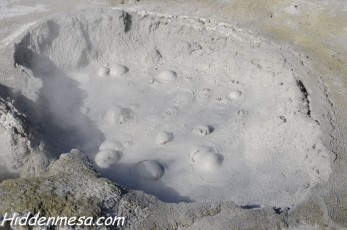 Mud Pot