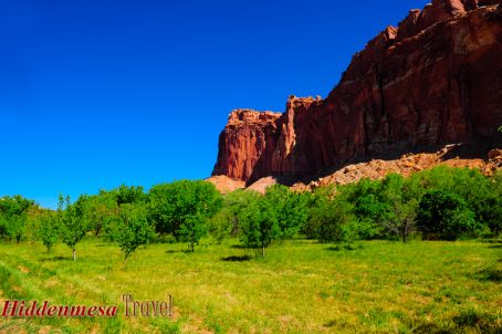 Fruita District, Capital Reef National Park