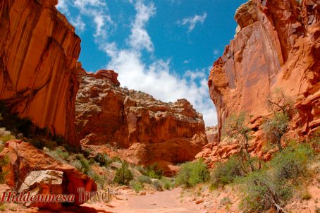 Dry wash, Capital Reef National Park