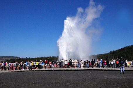 Crowding at Old Faithful