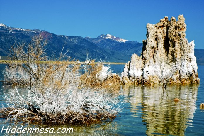 Tuffas at Mono Lake