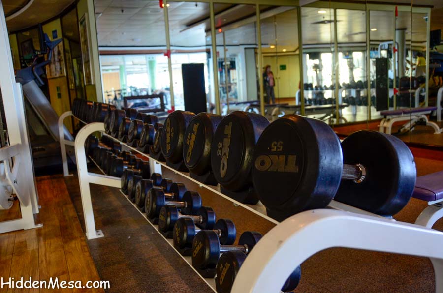 Fitness Aboard a Cruise Ship