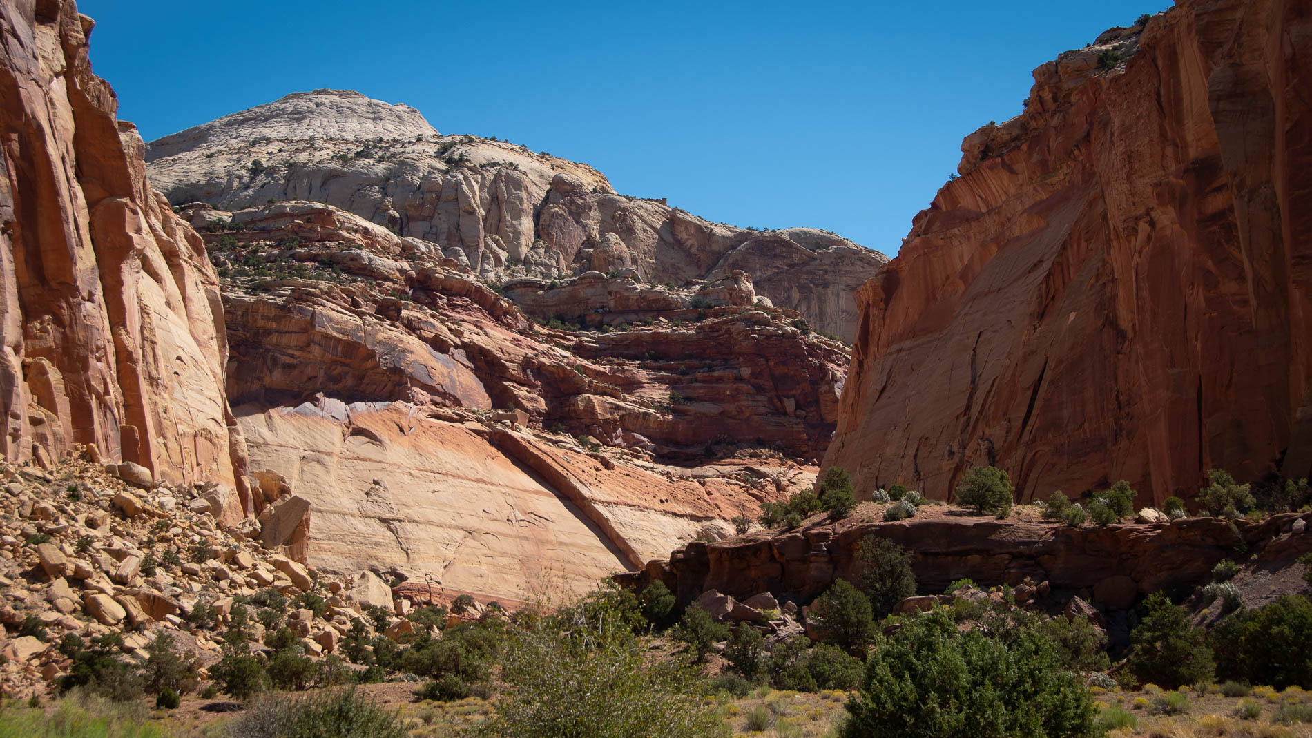 Roadside View of Capitol Reef National Park: One Day at This Utah Attraction